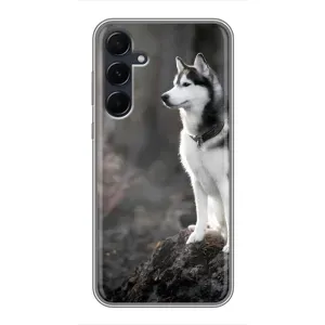 Чохол з Хаскі Samsung Galaxy A55 - (AlphaPrint) (Вірний собака)