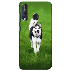 Чехол с Хаски для Samsung Galaxy A60 2019 (A605F) - (AlphaPrint) (Радостный Хаски)