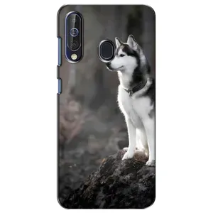 Чехол с Хаски для Samsung Galaxy A60 2019 (A605F) - (AlphaPrint) (Верный пес)