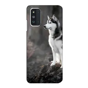 Чохол з Хаскі Samsung Galaxy F52 5G (E526) - (AlphaPrint) (Вірний собака)