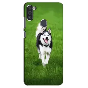 Чохол з Хаскі Samsung Galaxy M11 - (AlphaPrint) (Радісний Хаскі)