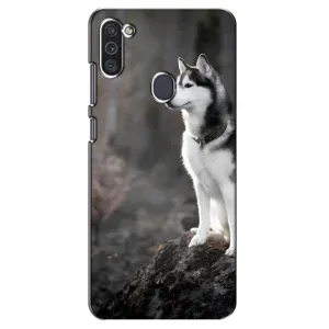 Чохол з Хаскі Samsung Galaxy M11 - (AlphaPrint) (Вірний собака)