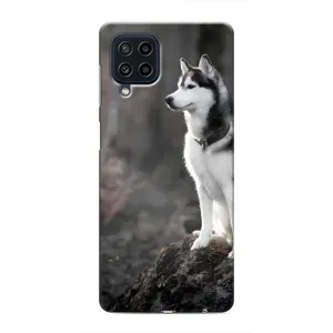 Чохол з Хаскі Samsung Galaxy M32 - (AlphaPrint) (Вірний собака)