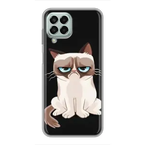 Чохол з принтом для Samsung Galaxy M33 (5G) (M336B) (AlphaPrint) Модні коти (Сумний кіт)