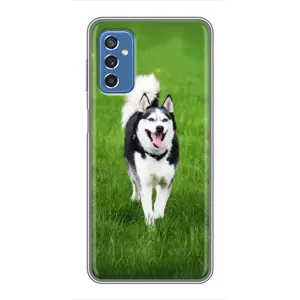 Чехол с Хаски для Samsung Galaxy M52 5G (M526) - (AlphaPrint) (Радостный Хаски)