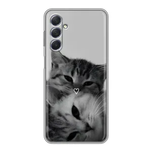Чехол с рисунком кот на Sansung Galaxy M54 (5G) (Пара котов)
