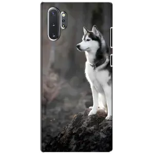 Чохол з Хаскі Samsung Galaxy Note 10 Plus - (AlphaPrint) (Вірний собака)