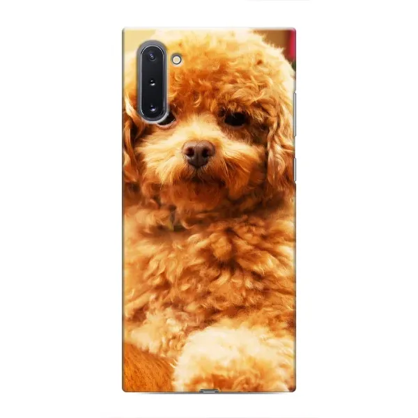 Чехол с принтом «Щенок Бишон» для Samsung Galaxy Note 10