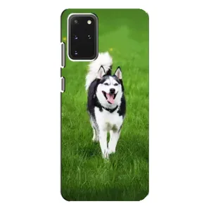 Чохол з Хаскі Samsung Galaxy S20 Plus - (AlphaPrint) (Радісний Хаскі)