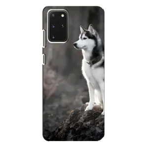 Чохол з Хаскі Samsung Galaxy S20 Plus - (AlphaPrint) (Вірний собака)