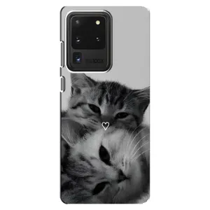 Чехол с рисунком кот на Samsung Galaxy S20 Ultra (Пара котов)