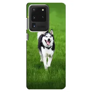 Чехол с Хаски для Samsung Galaxy S20 Ultra - (AlphaPrint) (Радостный Хаски)