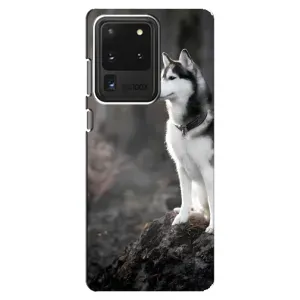 Чехол с Хаски для Samsung Galaxy S20 Ultra - (AlphaPrint) (Верный пес)