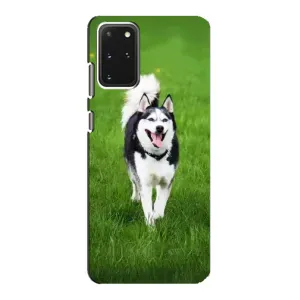 Чохол з Хаскі Samsung Galaxy S20 - (AlphaPrint) (Радісний Хаскі)
