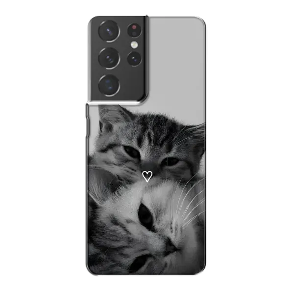 Чехол с принтом «Пара котов» для Samsung Galaxy S21 Plus Чехол с принтом «Пара котов» для Samsung Galaxy S21 Plus