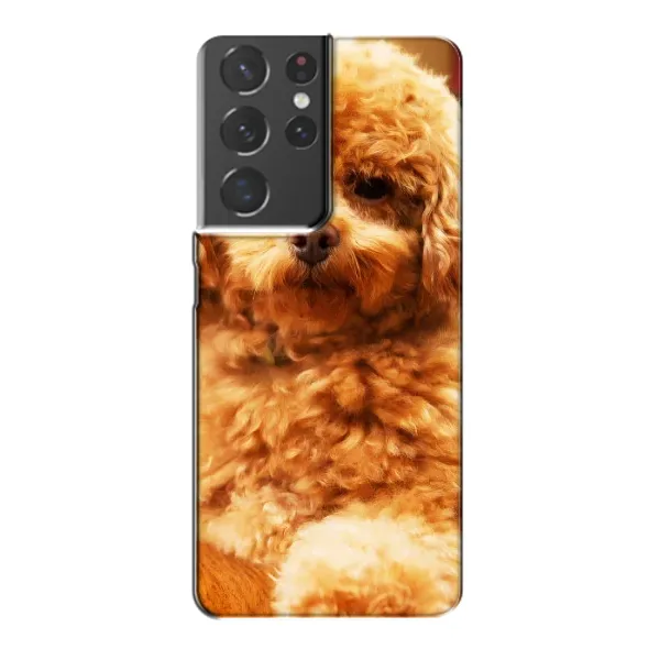 Чохол з принтом «Цуценя Бішон» для Samsung Galaxy S21 Plus Чохол з принтом «Цуценя Бішон» для Samsung Galaxy S21 Plus