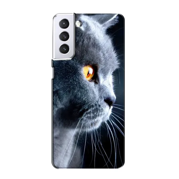 Чехол с принтом «Серый Кот» для Samsung Galaxy S21