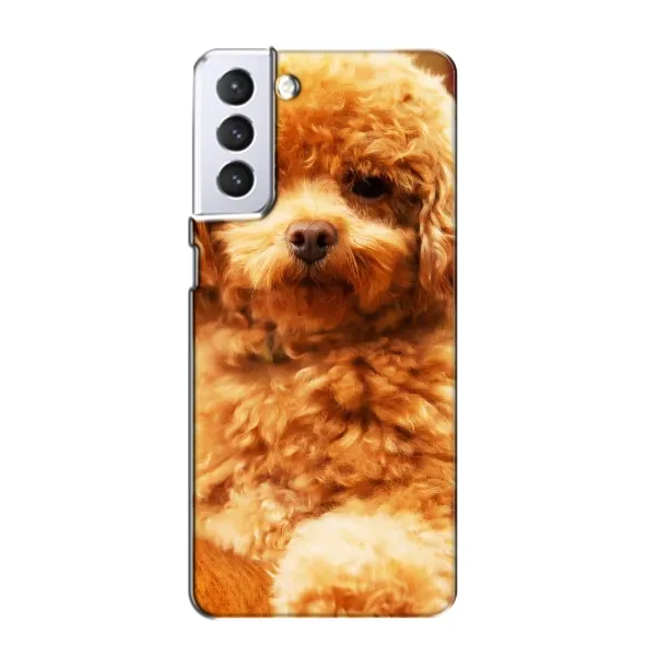 Чехол с принтом «Щенок Бишон» для Samsung Galaxy S21