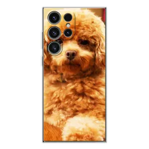 Чехлы с собаками для Samsung Galaxy S25 Ultra (VPrint) (Щенок Бишон)