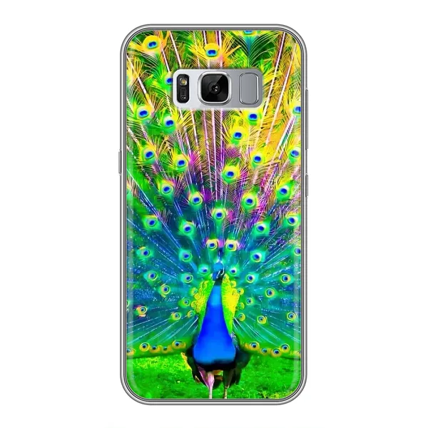 Чохол з принтом «Яскравий Павлин» для Samsung Galaxy S8 Plus (G955) Чохол з принтом «Яскравий Павлин» для Samsung Galaxy S8 Plus (G955)