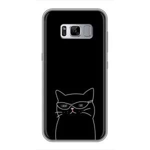Чохол з малюнком кіт на Samsung Galaxy S8, G950 (Байдужий кіт)
