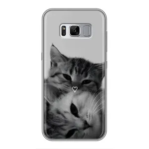 Чохол з малюнком кіт на Samsung Galaxy S8, G950 (Пара котів)