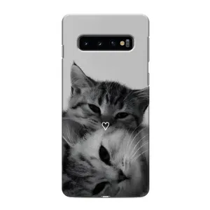 Чохол з малюнком кіт на Samsung Galaxy S10e (Пара котів)