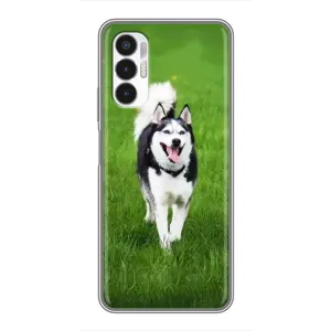 Чохол з Хаскі Tecno POVA 3 (LF7n) - (AlphaPrint) (Радісний Хаскі)