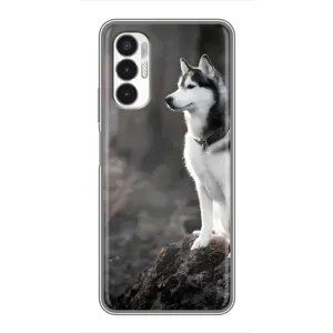 Чохол з Хаскі Tecno POVA 3 (LF7n) - (AlphaPrint) (Вірний собака)