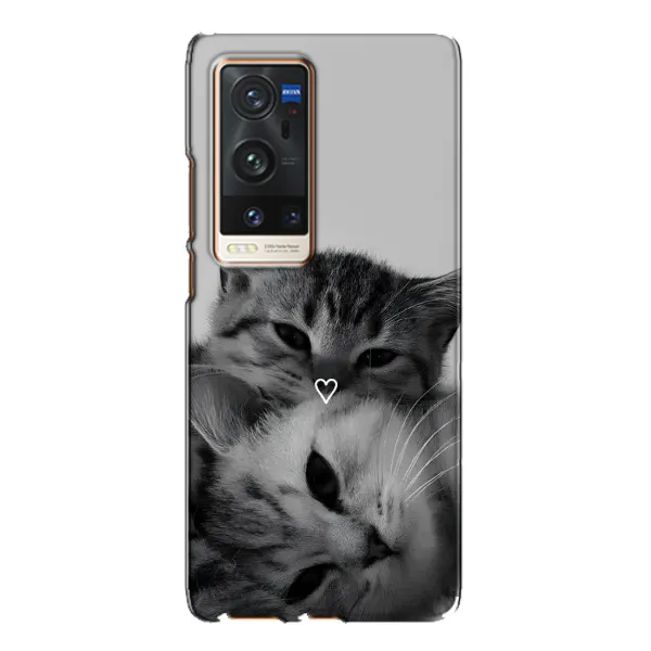 Чохол з принтом «Пара котів» для Vivo X60 Pro Plus