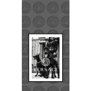 Чехлы VERSACE для Сяоми 11т / 11т про (PREMIUMPrint)