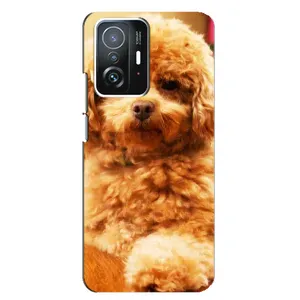 Чохол з принтом «Цуценя Бішон» для Xiaomi 11T / 11T Pro