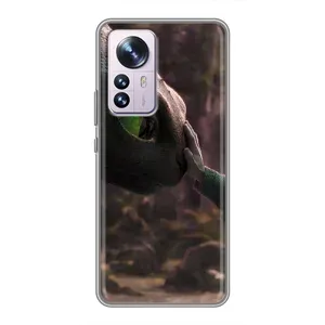 Чохол як приборкати дракона на Xiaomi 12 / 12X (Сцена з драконом)
