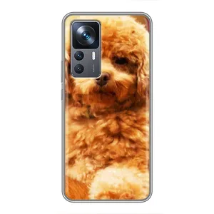 Чехол с принтом «Щенок Бишон» для Xiaomi 12T