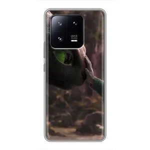 Чохол як приборкати дракона на Xiaomi 13 Pro (Сцена з драконом)