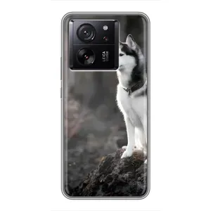Чохол з Хаскі Xiaomi 13T - (AlphaPrint) (Вірний собака)