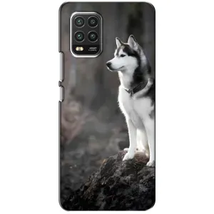 Чохол з Хаскі Xiaomi Mi 10 Lite - (AlphaPrint) (Вірний собака)