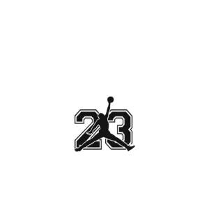 Чехлы для Xiaomi Mi 11 Lite - с картинкой JORDAN (AlphaPrint) (Jordan 23)