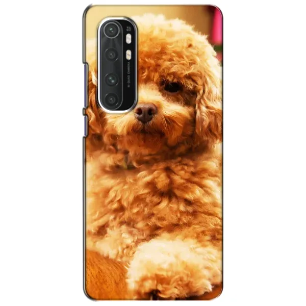 Чохол з принтом «Цуценя Бішон» для Xiaomi Mi Note 10 Lite