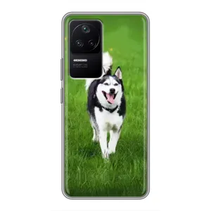 Чехол с Хаски для Xiaomi POCO F4 (5G) - (AlphaPrint) (Радостный Хаски)