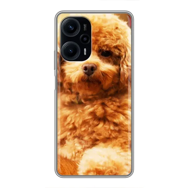 Чохол з принтом «Цуценя Бішон» для Xiaomi POCO F5