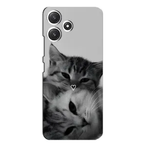 Чохол з малюнком кіт на Xiaomi POCO M6 Pro (5G) (Пара котів)
