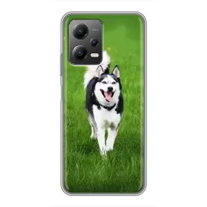 Чохол з Хаскі Xiaomi POCO X5 (5G) - (AlphaPrint) (Радісний Хаскі)