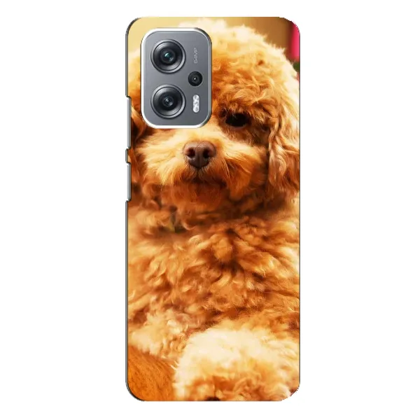 Чохол з принтом «Цуценя Бішон» для Xiaomi Redmi Note 12 Pro Plus
