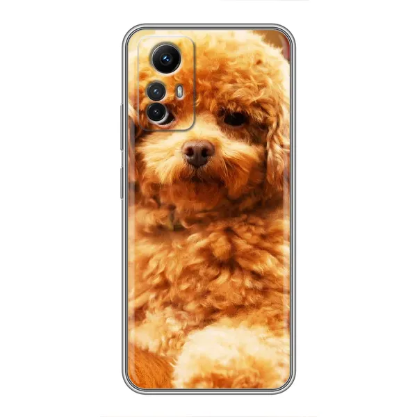 Чохол з принтом «Цуценя Бішон» для Xiaomi Redmi Note 12s