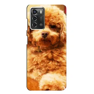 Чохол з принтом «Цуценя Бішон» для ZTE Blade A52