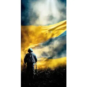 Українські, патріотичні Чохли для ЗТЕ В2020 Смарт (Війна)
